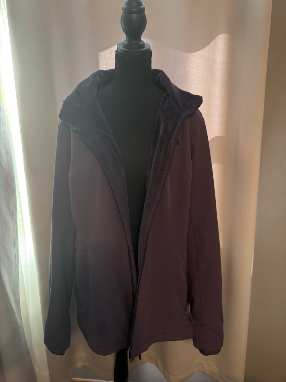 The North Face Women's Deep Plum Hooded Ski Jacket